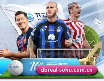 五大服务分区,信息按项目分类 | DB
